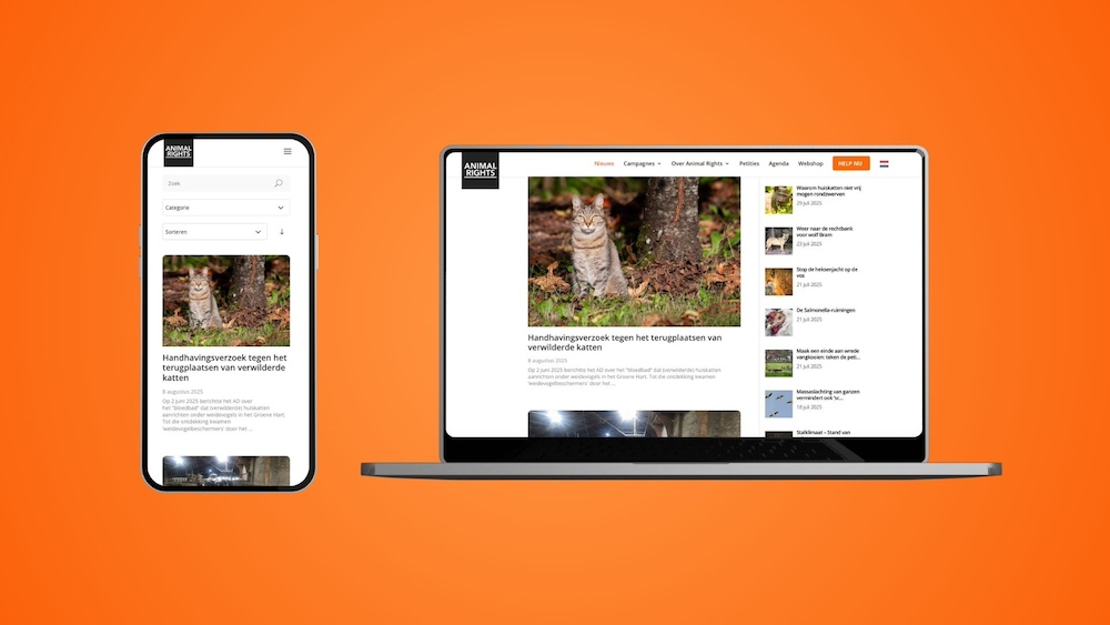 WordPress Website Migration
